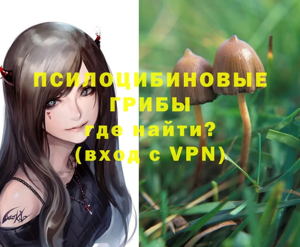 хмурый Горно-Алтайск
