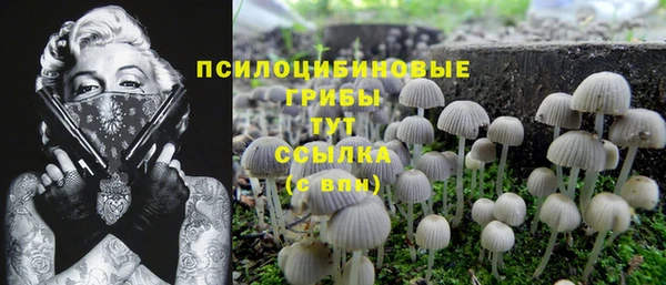 прущая мука Туринск