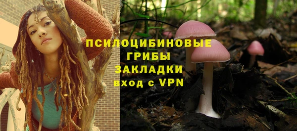 прущая мука Туринск