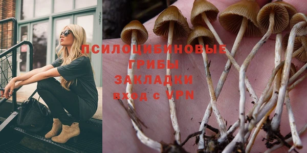 хмурый Горно-Алтайск