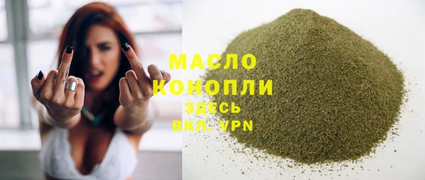 хмурый Горно-Алтайск