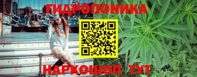 молекула духа Гусь-Хрустальный