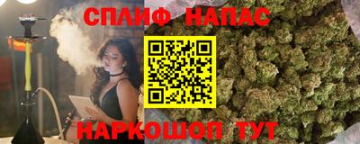 молекула духа Донецк