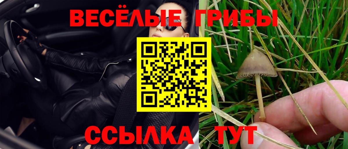 Псилоцибиновые грибы ЛСД Назарово