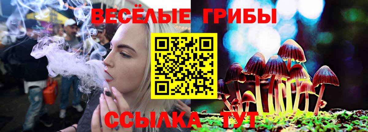 Псилоцибиновые грибы Cubensis  Вход с VPN  Псилоцибиновые грибы мицелий  купить закладку  Назарово 